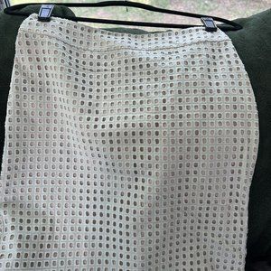 Ann Taylor Skirt